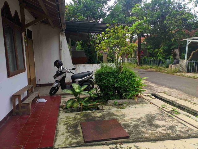 place photo 18