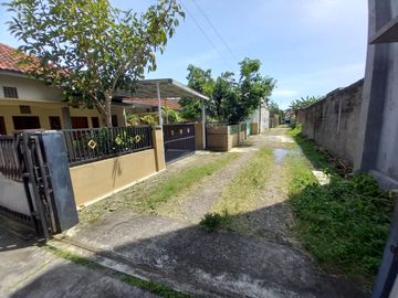 place photo 3