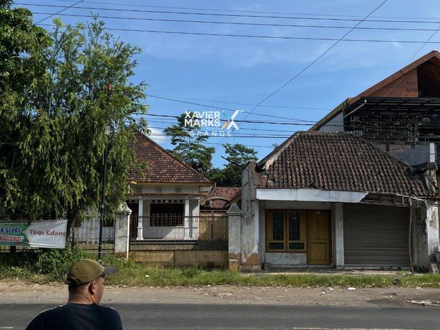 place photo 11