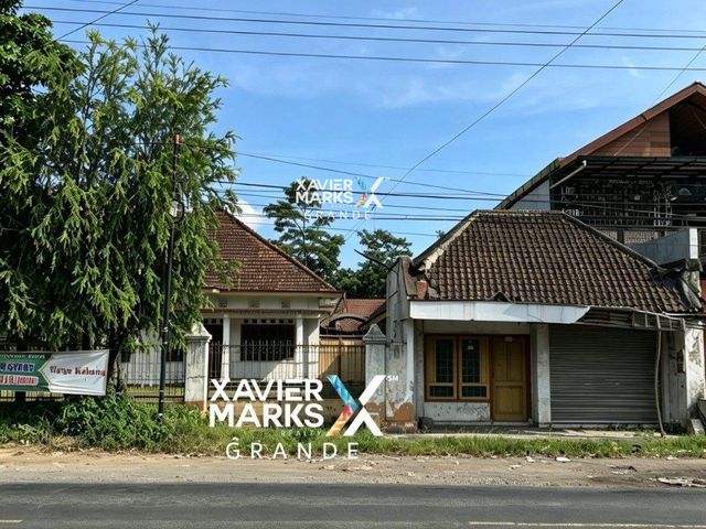 place photo 18