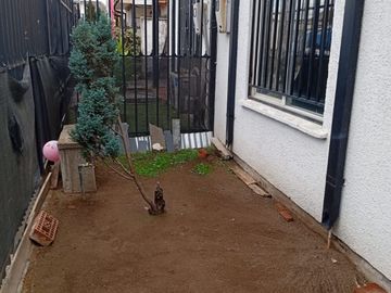 place photo 40