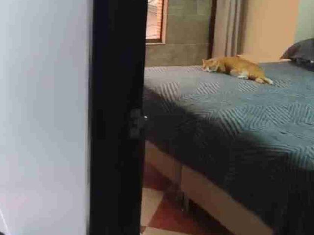 place photo 44