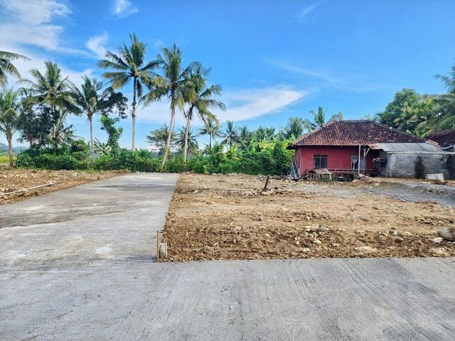 place photo 4