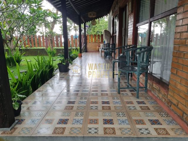 place photo 18