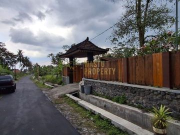place photo 26