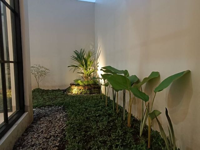 place photo 24