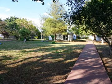 place photo 24