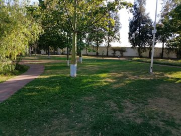 place photo 26