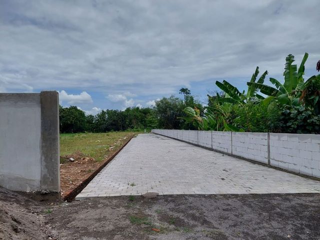 place photo 7