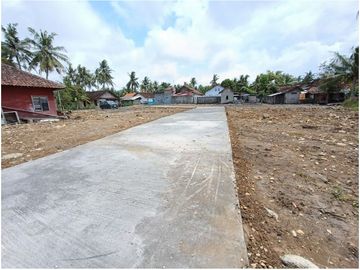place photo 7