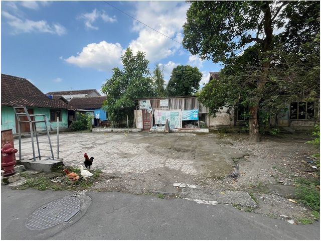 place photo 5