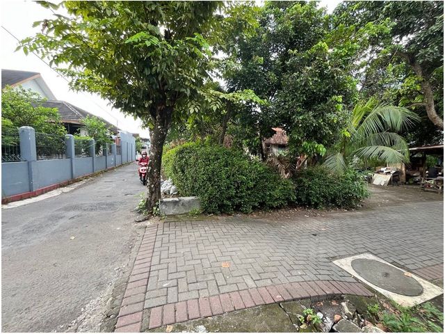 place photo 6