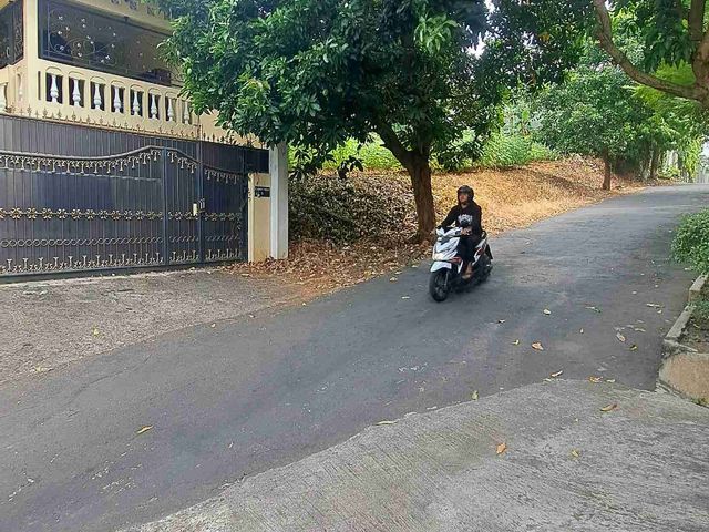 place photo 12