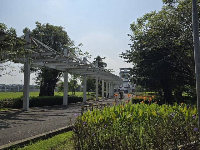 place photo 17
