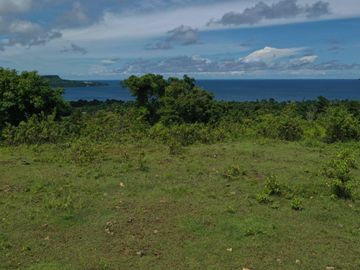 place photo 44