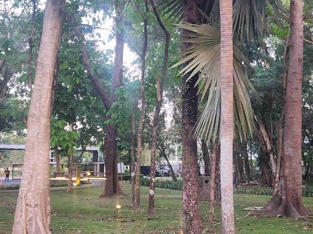 place photo 33