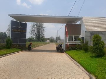place photo 3