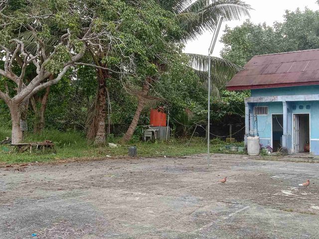 place photo 2