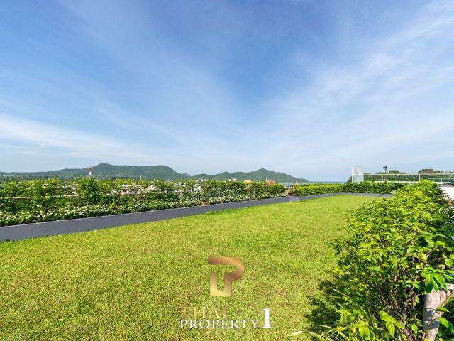 place photo 24