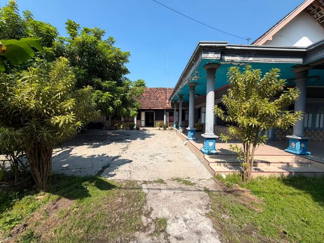 place photo 5