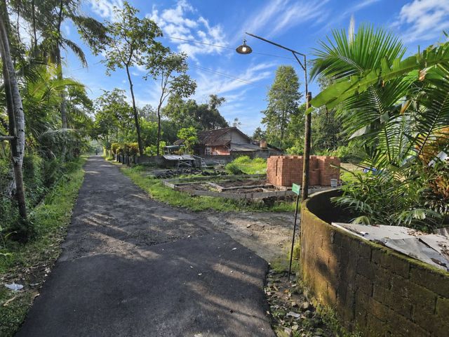 place photo 5