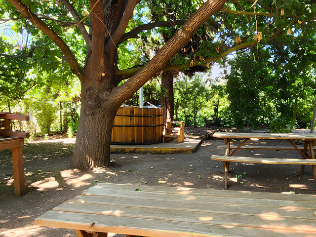 place photo 27