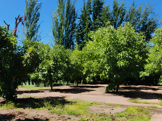 place photo 28