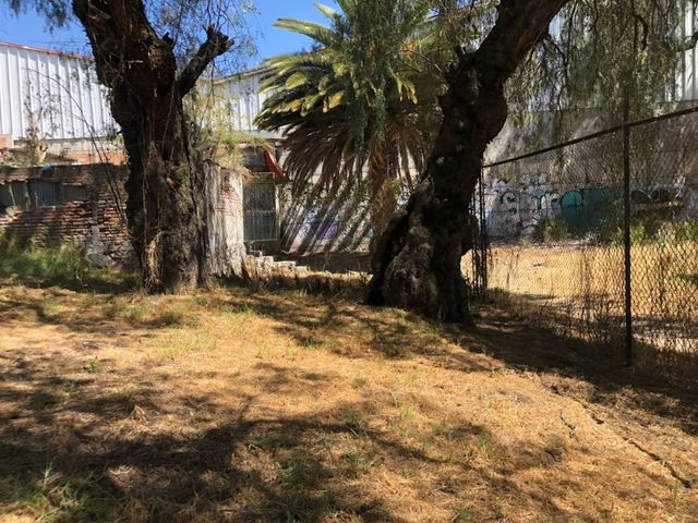 place photo 8