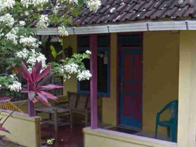 place photo 16