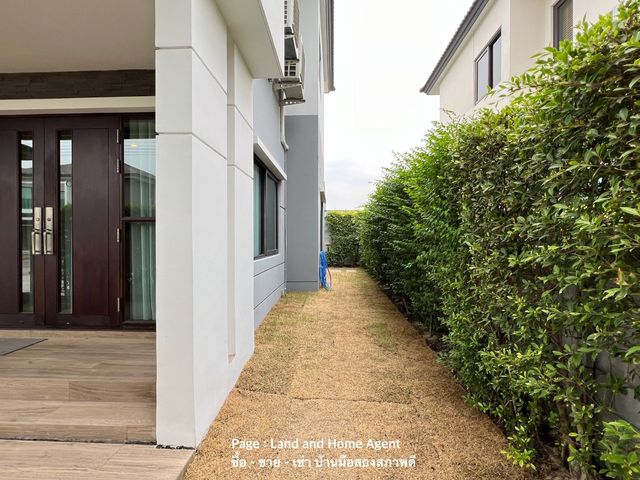 place photo 39