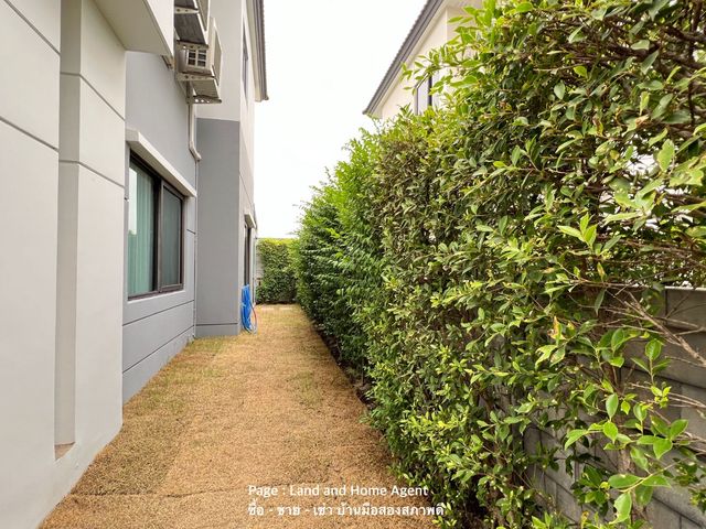 place photo 40