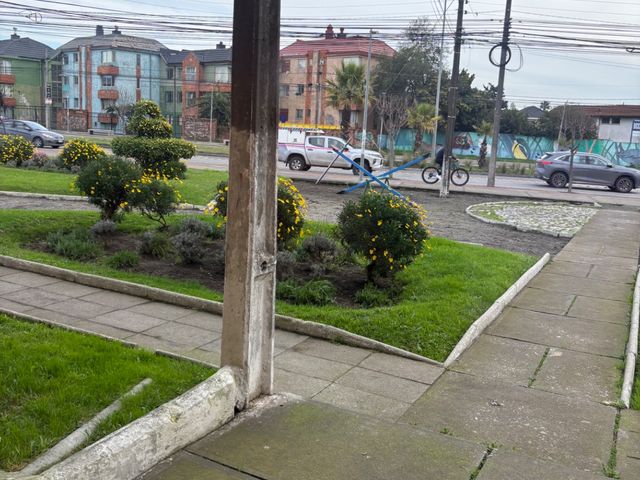 place photo 14