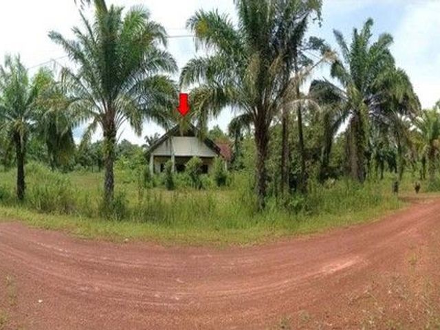 place photo 7