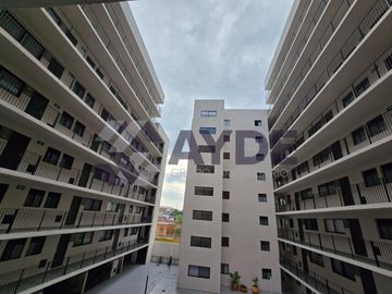 place photo 22