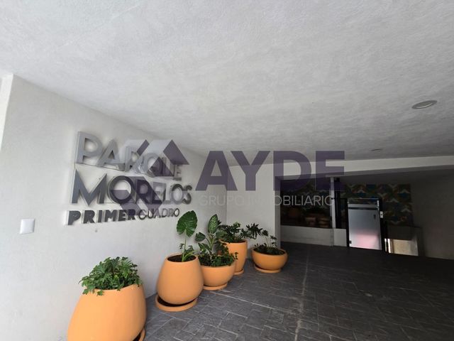 place photo 26