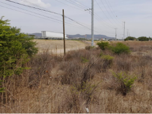 place photo 11