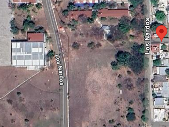 place photo 10