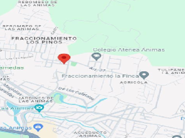 place photo 9