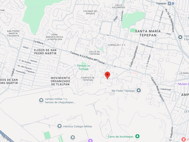 place photo 16