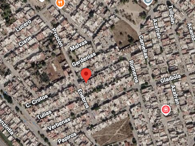 place photo 8