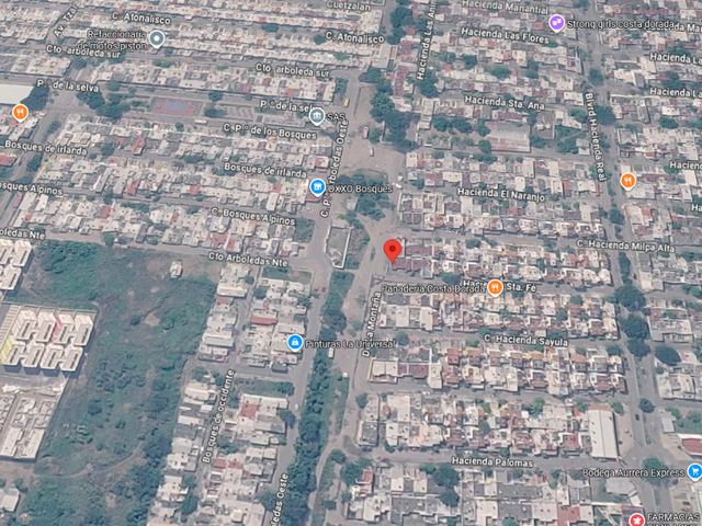 place photo 6