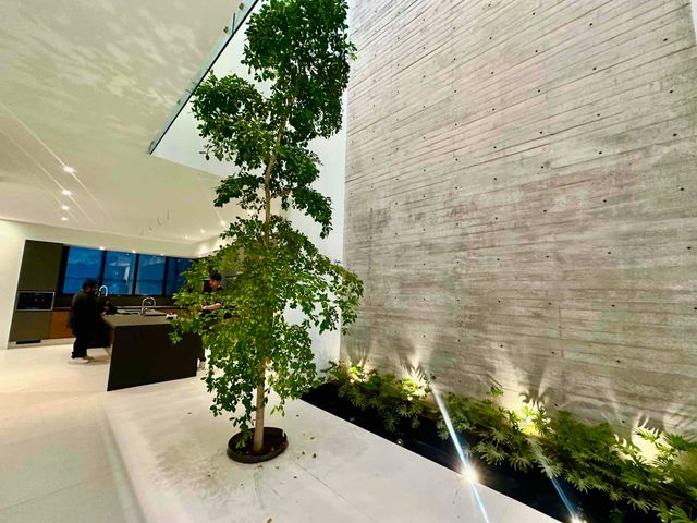 place photo 35
