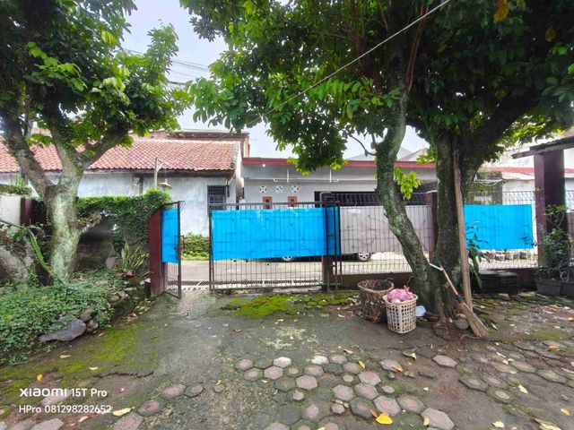 place photo 4