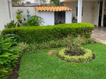 place photo 18