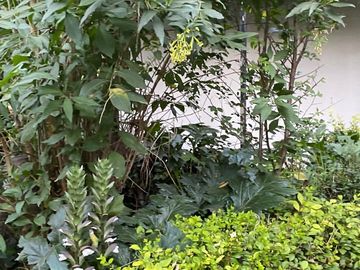 place photo 41