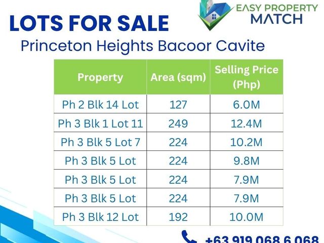 Lot for Sale in Princeton Heights Bacoor Cavite
