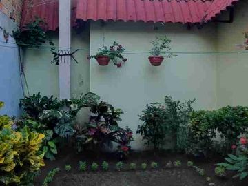 place photo 23