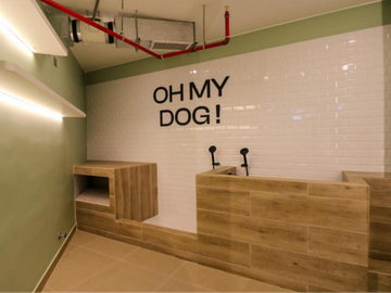 place photo 25