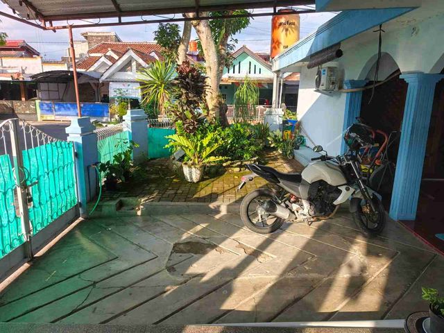 place photo 5