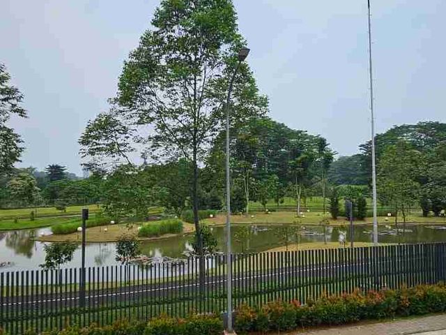 place photo 29